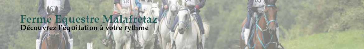 Ferme Equestre Malafretaz